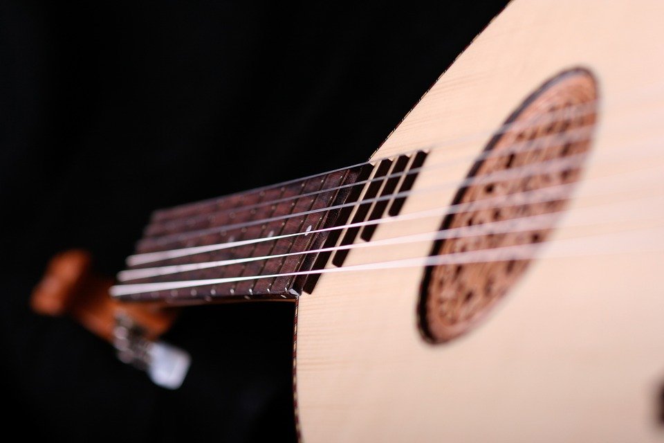A lute with a closeup on the rosette