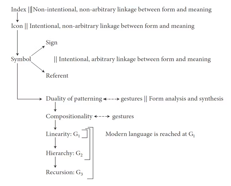 The gradual development of complexity in language (from Everett, 2018)