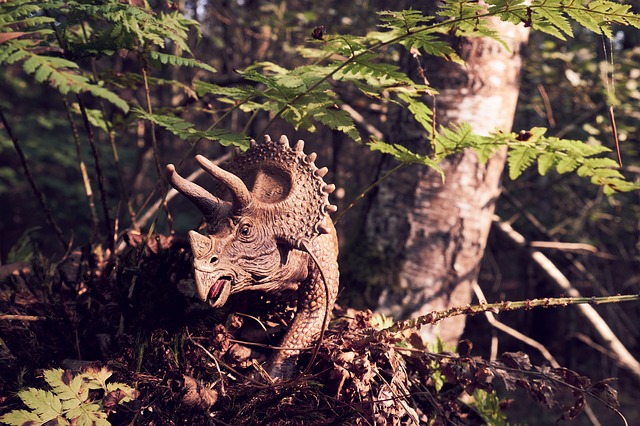 A triceratops in a forest