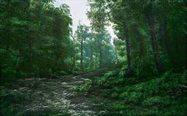 Small image representing the Everwild forest in Orr.