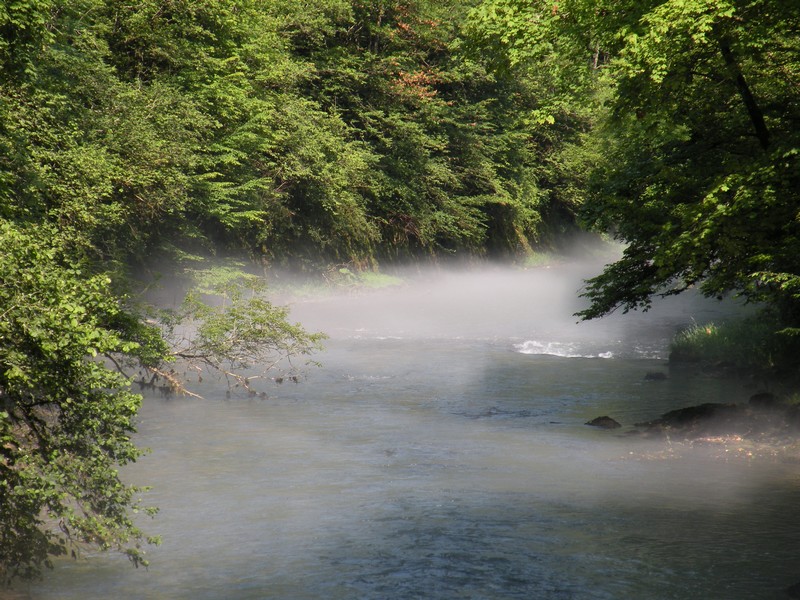 Brume sur la rivière