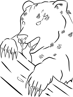 Coloring page of hungry tree bear