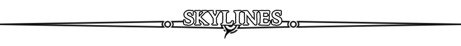 Skylines banner