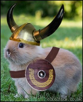 Viking Bunny of Doom