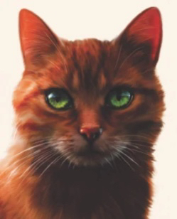 A red-orange tabby cat with bright green eyes