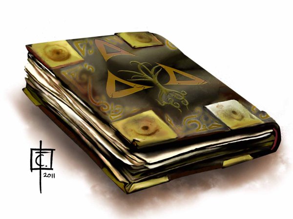 Leather and Bone Tome