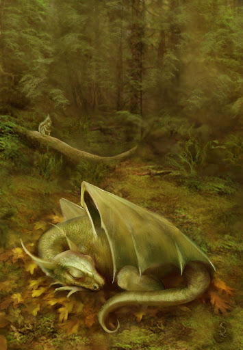 Un lézard dormant. L’espèce est celle d’un petit dragon des bois, sa petite taille lui donne un air inoffensif mais il s’agit d’un grand prédateur qui sécrète un poison mortel quand il mord ses victimes.
