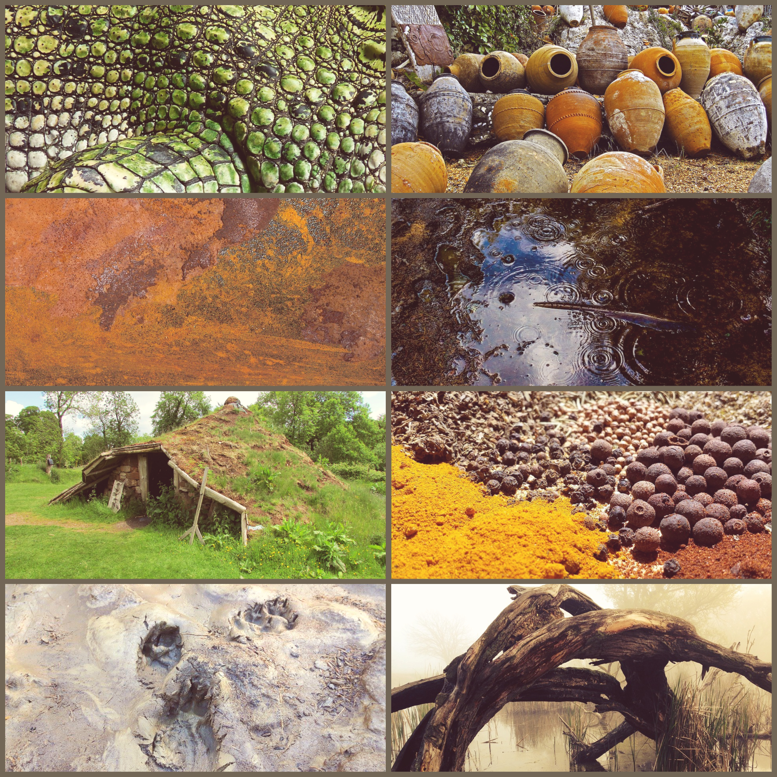 A collage of images relating to mud, pottery, rust, alligator scales, swamps, and spices