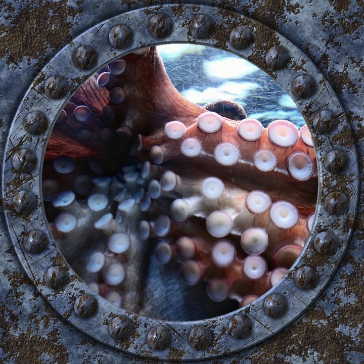 Octopus arms on the outside of a submarine porthole