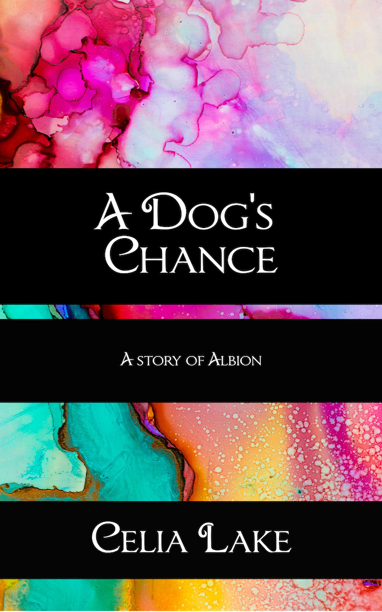 S1 A dog's chance cover.png