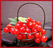 Image of red currants in a small metal basket.