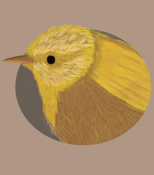 Golden pricker nest.jpg