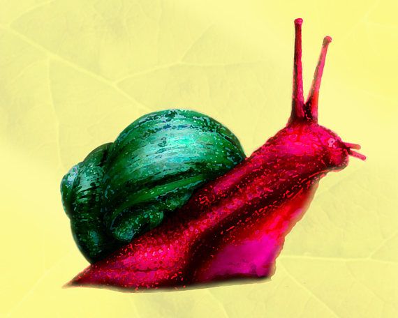 Alendrean snail
