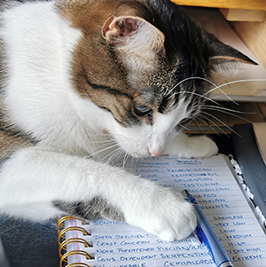 My cat Jazz is lying on a notebook and poking a pen.