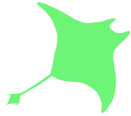 A green silhouette of a manta ray