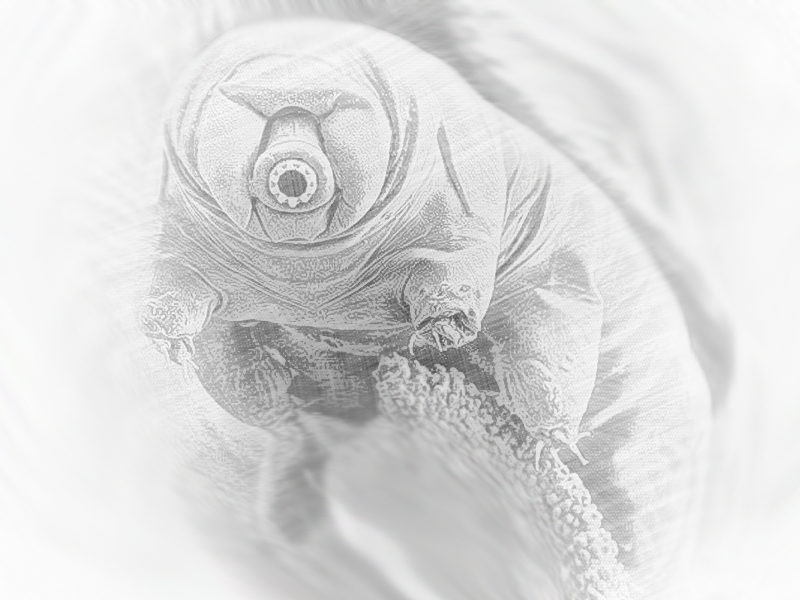 tardigrade.png
