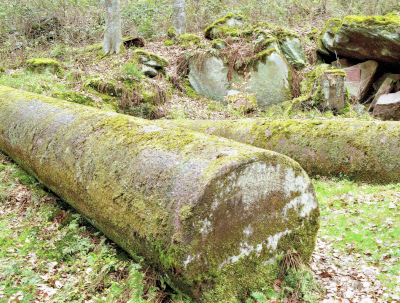 Ancient columns lying deep in the forest