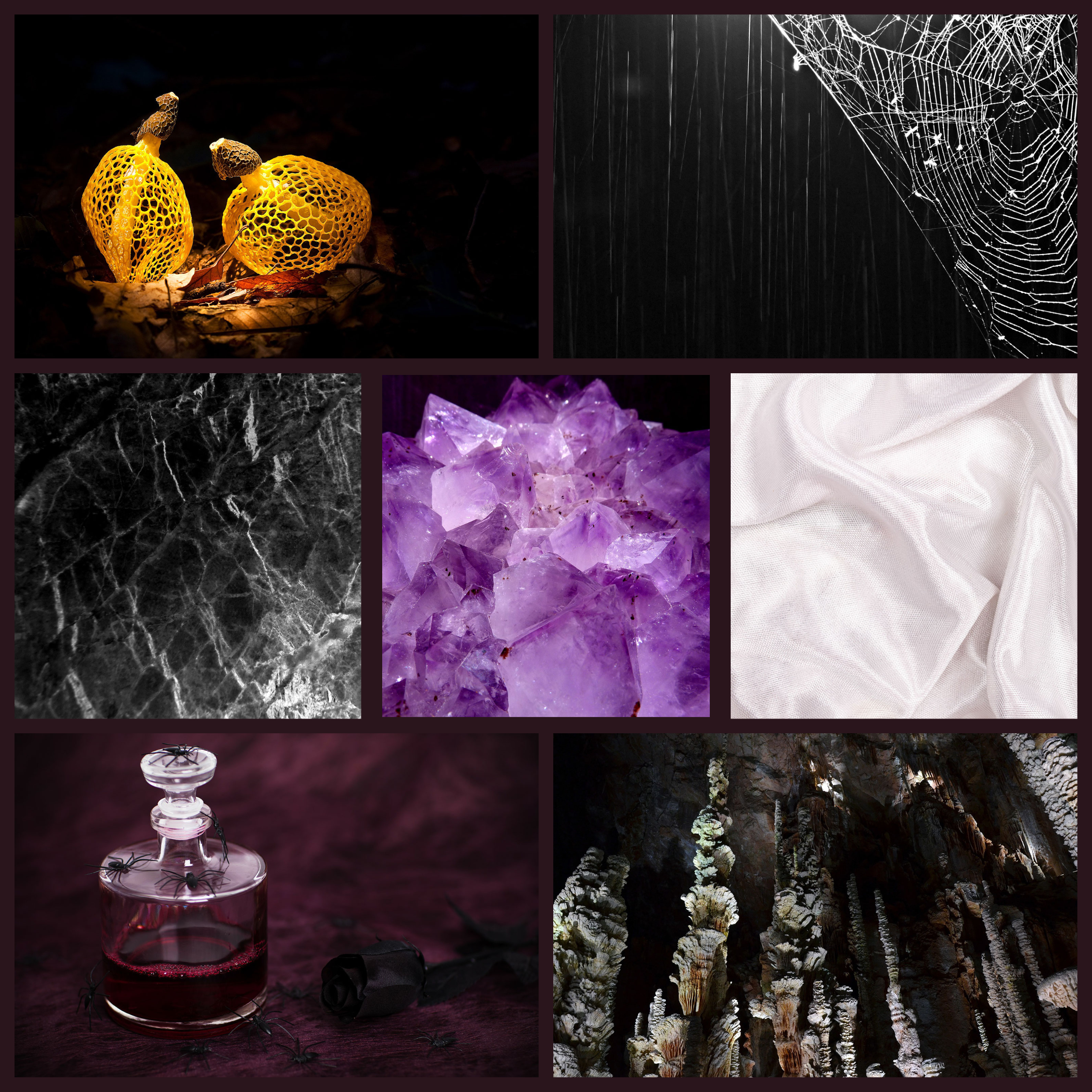 A collage of images in a purple, black, and white theme with accents of yellow or gold. Images in include mushrooms, stone, and spiders
