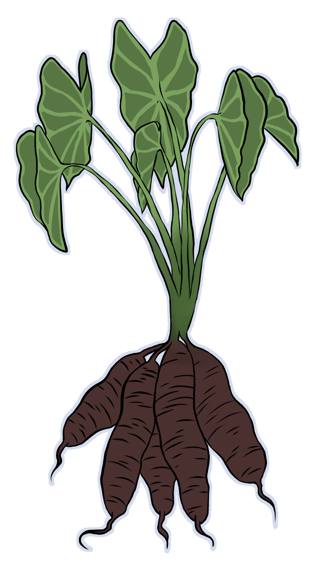 ObdomePlant3.png