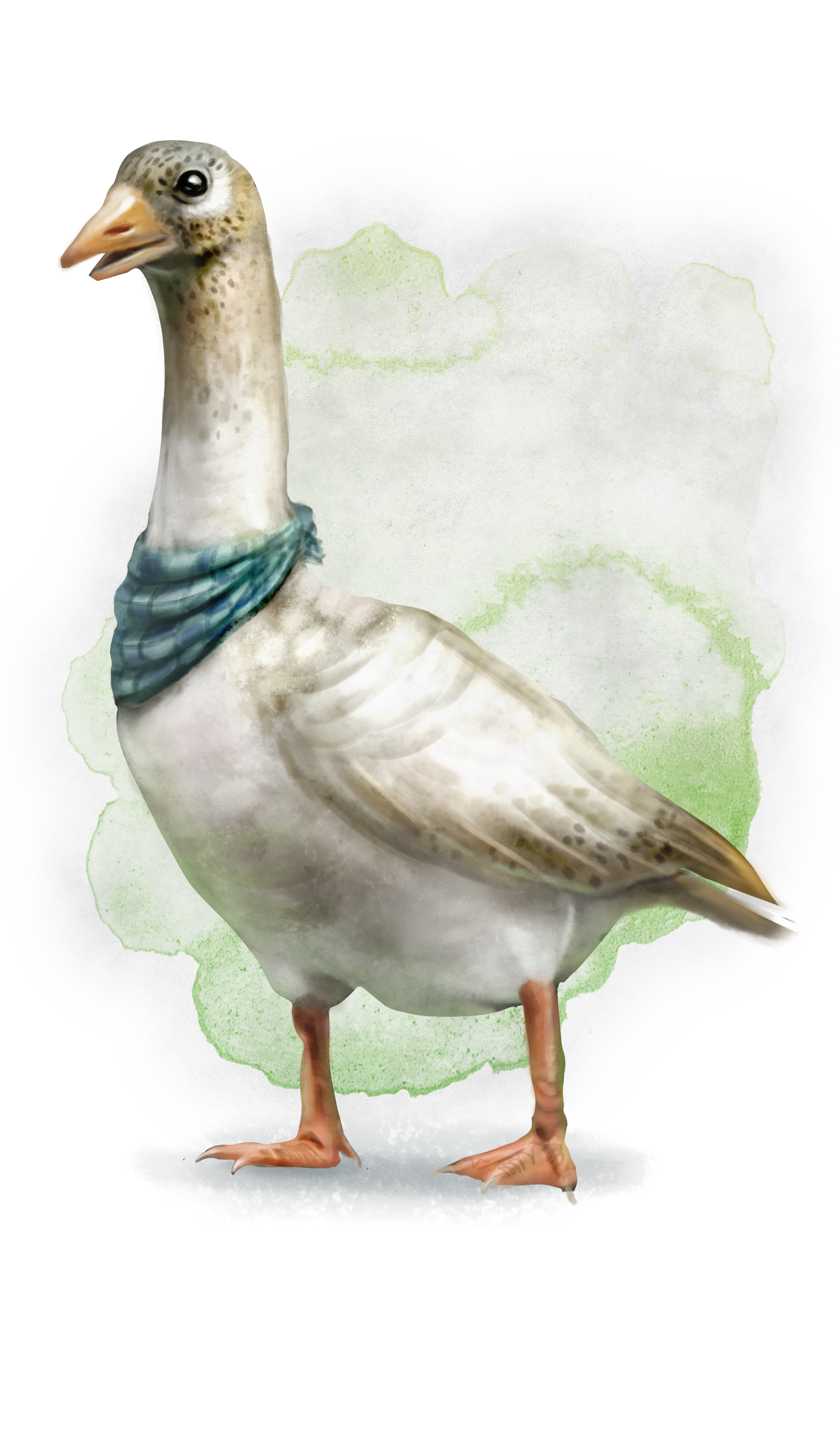 Brunnian Garden Goose.png
