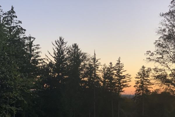 The sun sets behind hills in the distance, filling the sky with oranges, yellows, and blues. Trees in the foreground try to catch the last rays of the sun for the day.