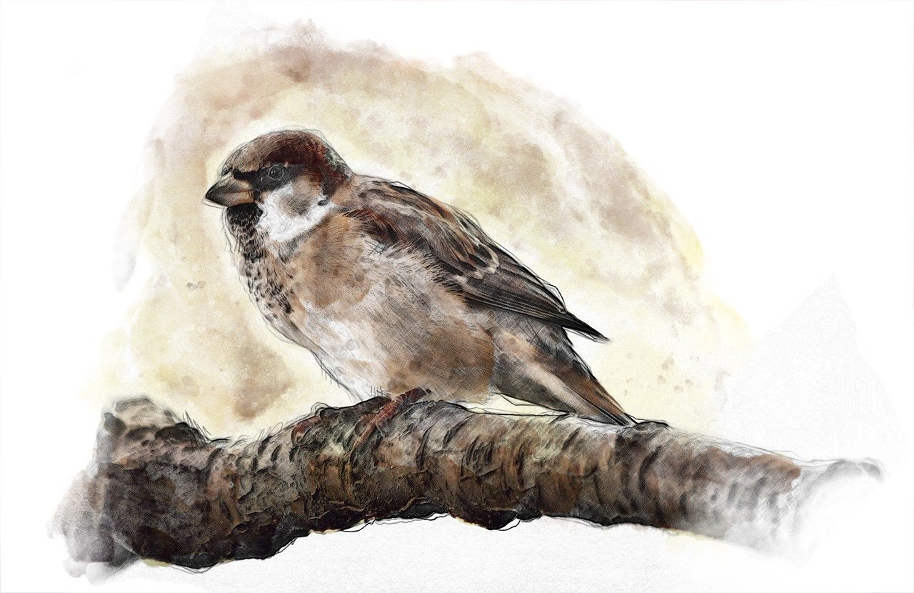 Watercolor image of a sparrow sitting on a branch