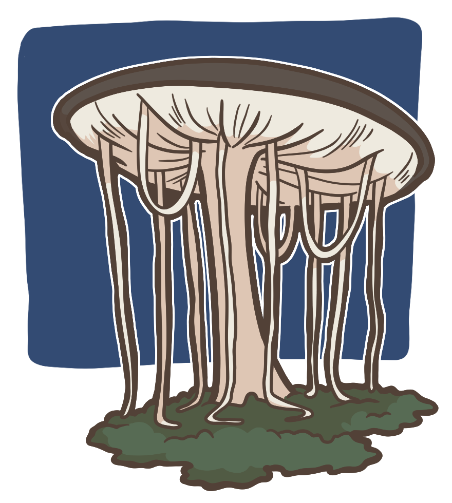 A brown and white mushroom with noodle-like growths descending from its cap.