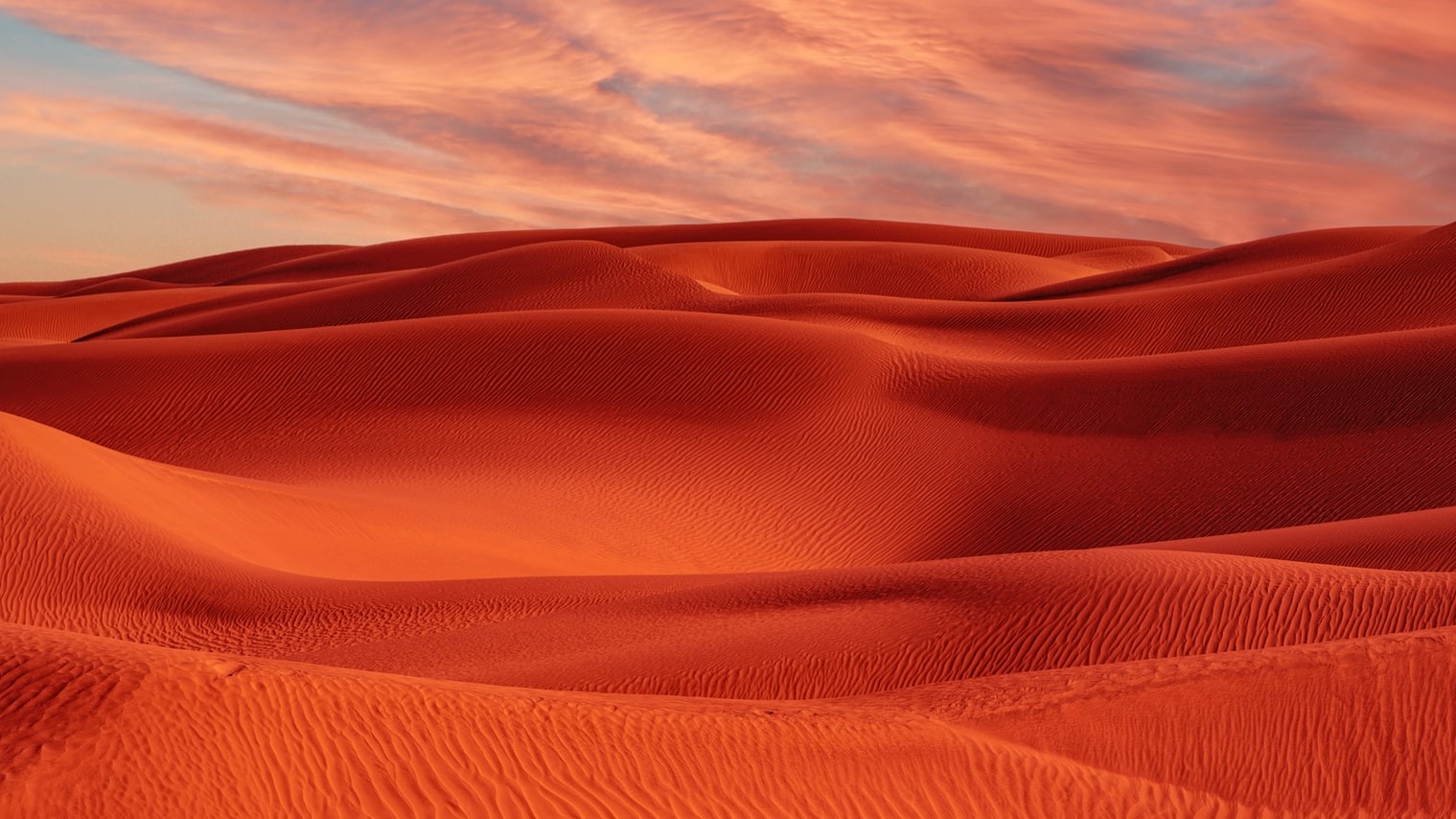 Landscape of bright red rolling sand dunes.