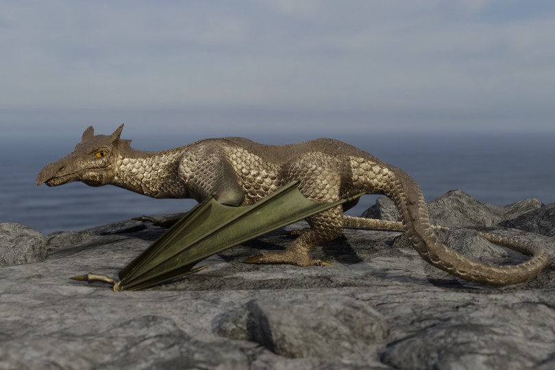 wyvern sitting on the ground with wings retracted