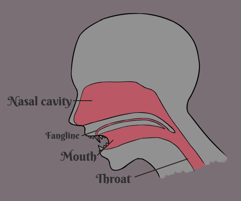 Pyris Nose/Throat