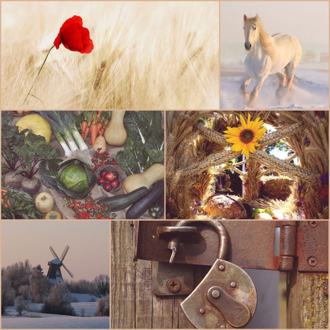 A mood board" red flower amid wheat, a white horse running through snow, a harvest spread, a craft made of wheat and wildflowers, a windmill in winter, an unlocked padlock