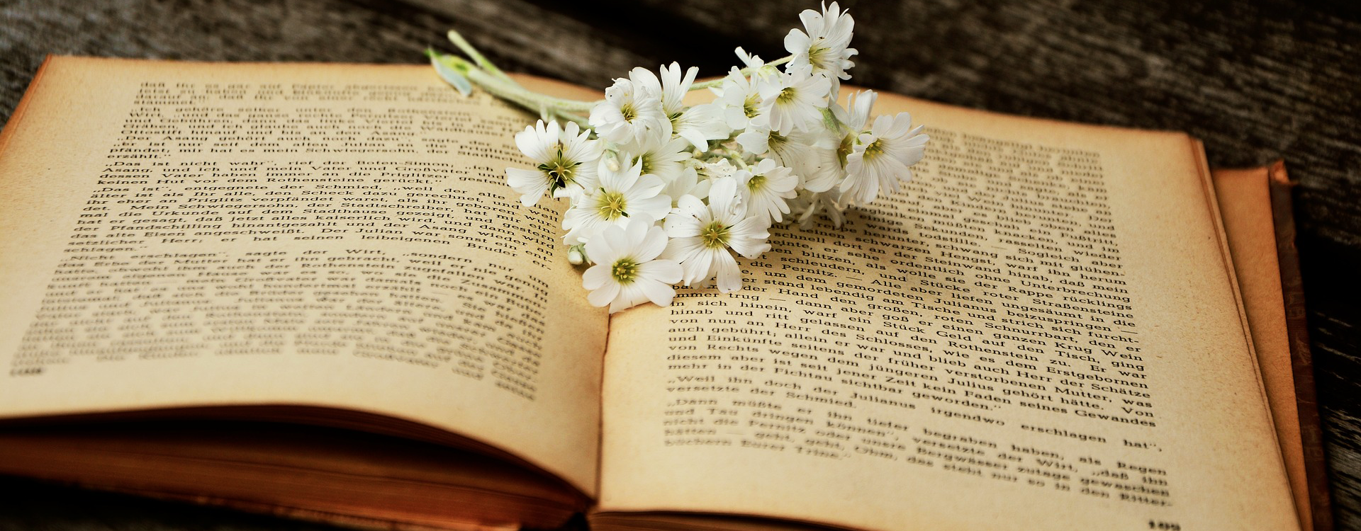 Open Book Flower