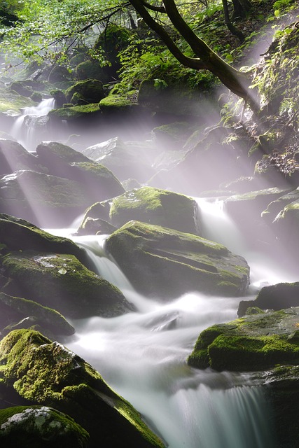Verdant rocky brook waterfall