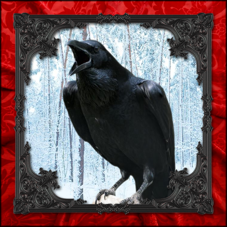 Frame-RavenBird.png
