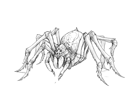 Giant Spider Character in Vitallia | World Anvil