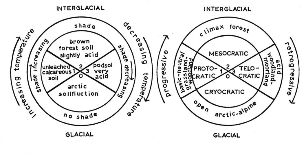 Summary of the four stage glacial/interglacial cycle (after Iversen, 1958).