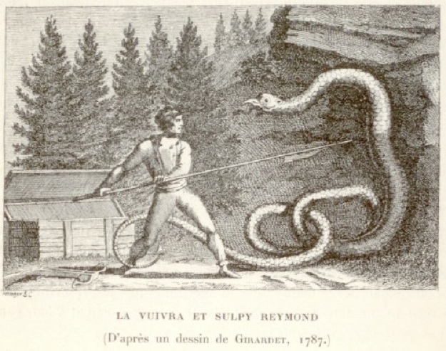 vouivre serpent