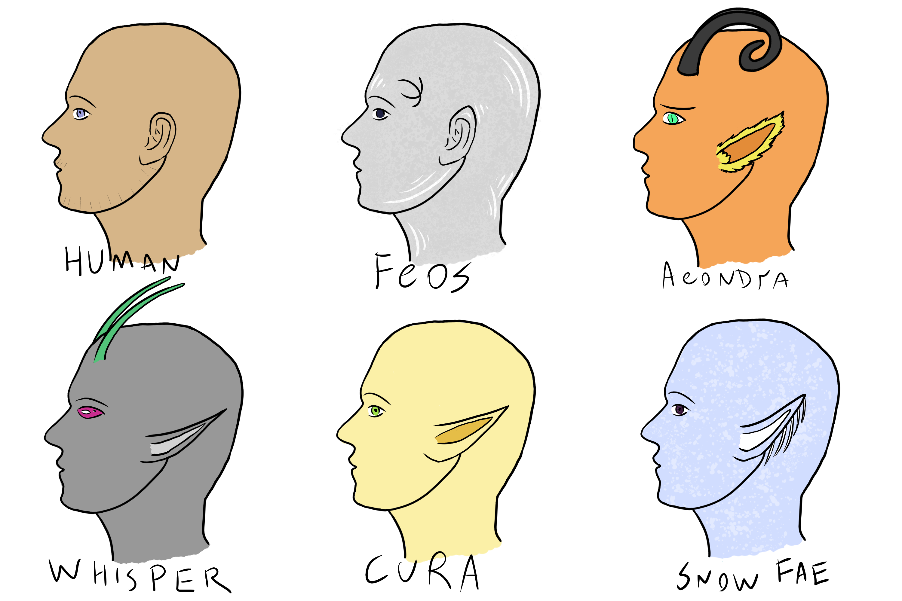 head busts of species