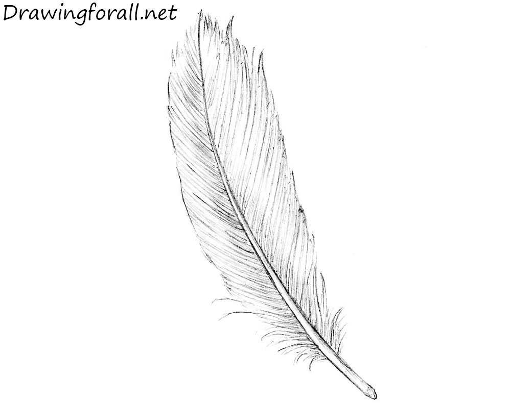 The Feather that never composes