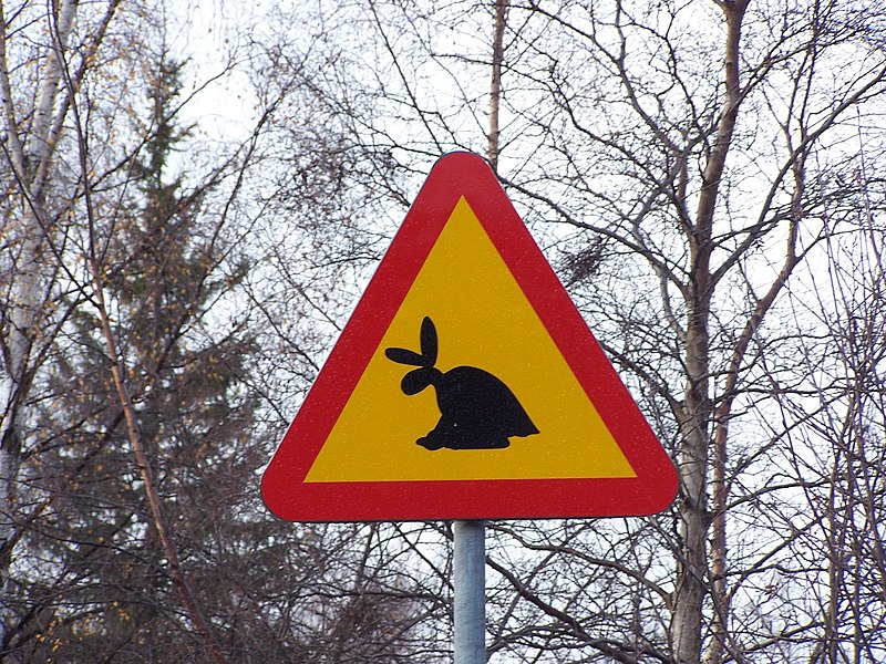 A road crossing sign featuring a skvader