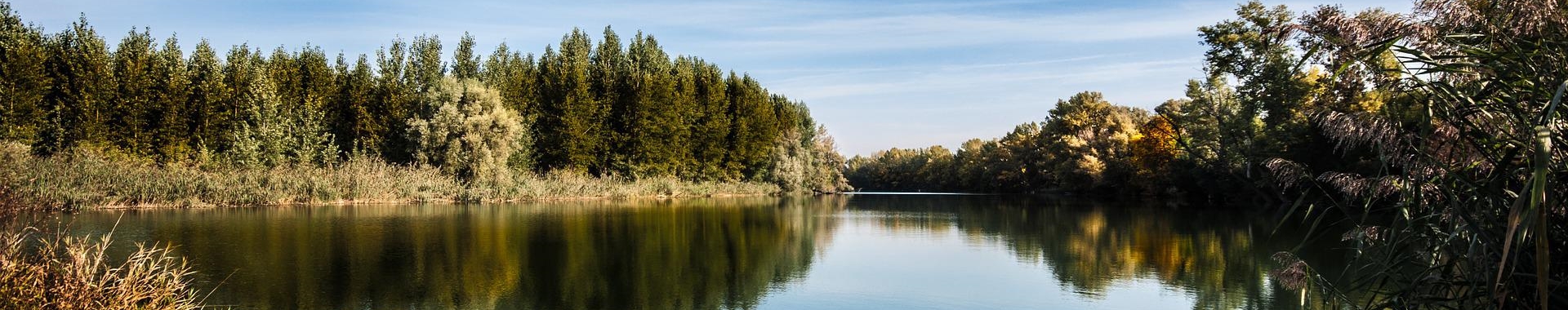 Photograph of a wide, gentle river with trees on both sides