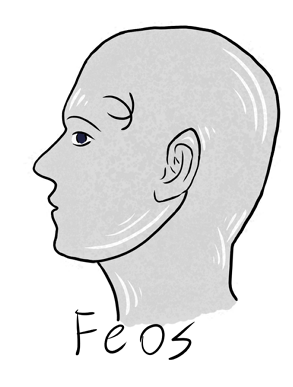 Feos head profile