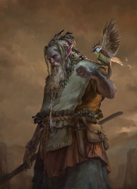 Druid of the Wren