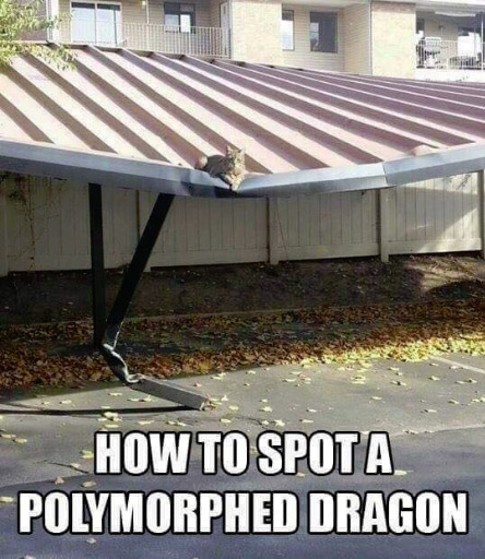 Humorous Dragon