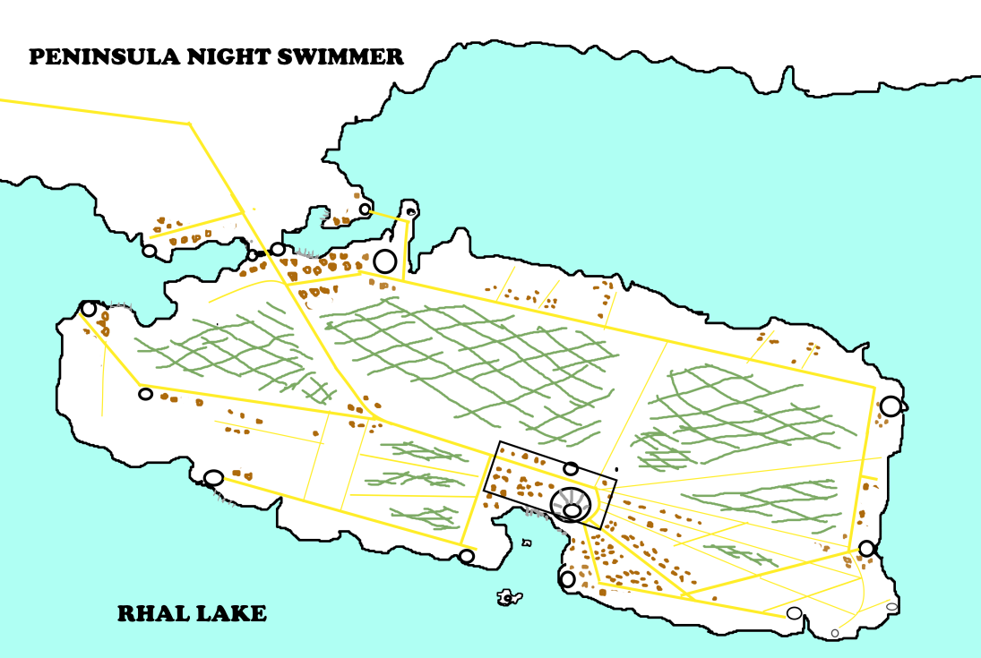 Night Swimmer Peninsula cover